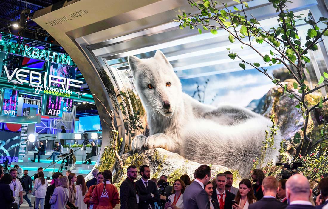 Интерактивный стенд "Газпром нефти"