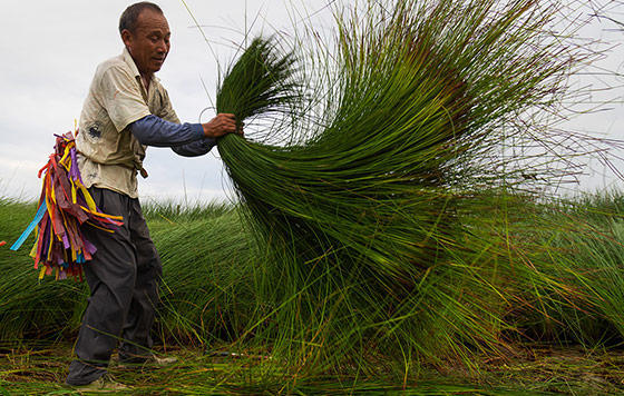 Фотохроника 17 июня