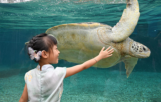 Фотохроника 26 июня