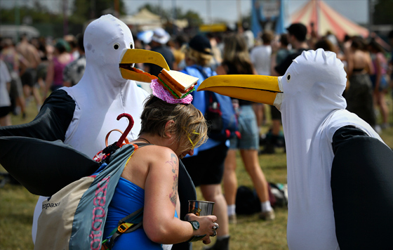 Фотохроника 27 июня