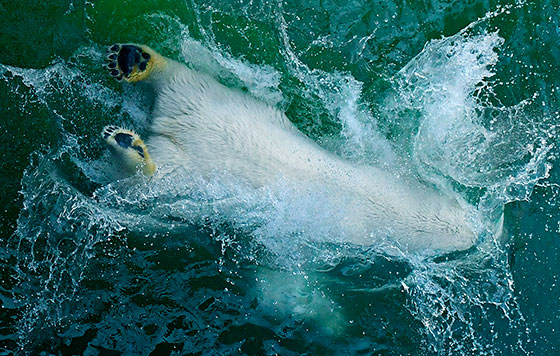 Лучшие фото недели