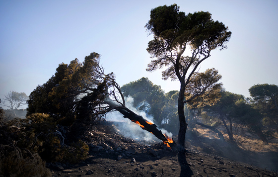 Фотохроника 1 июля