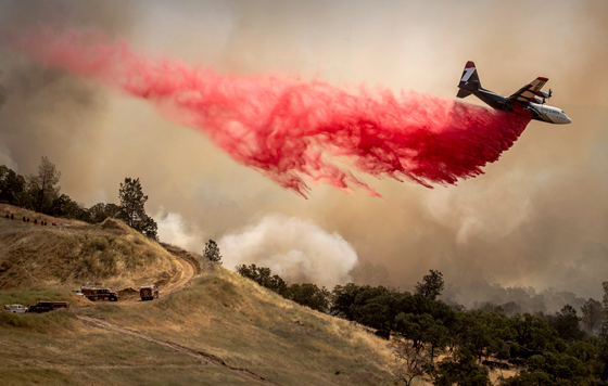 Лучшие фото недели