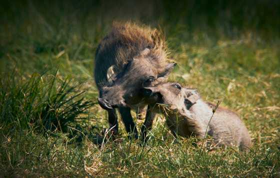 Фотохроника 8 июля