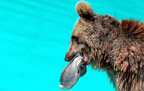 Фотохроника 11 июля