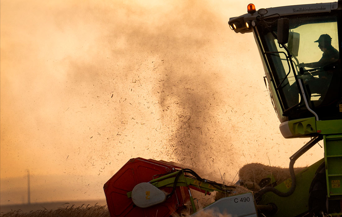 Сезон сбора урожая в Конье, Турция