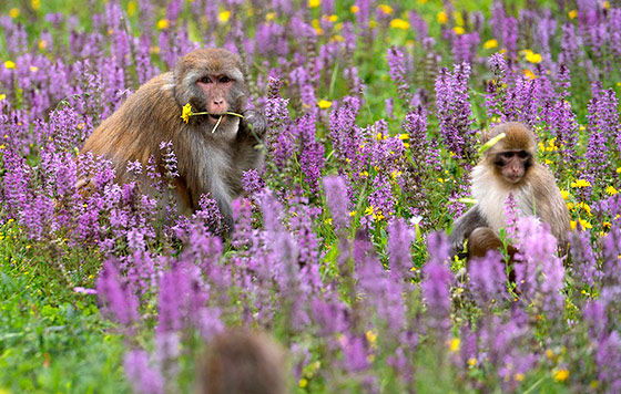 Лучшие фото недели
