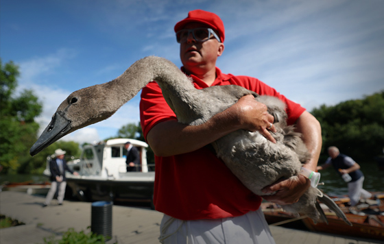 Лучшие фото недели