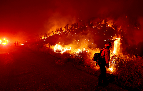 Фотохроника 22 июля