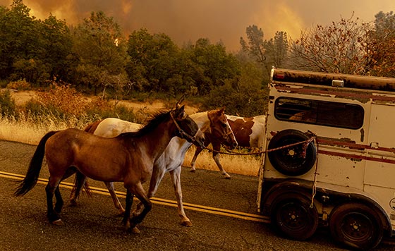 Фотохроника 26 июля