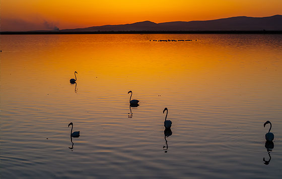 Лучшие фото недели