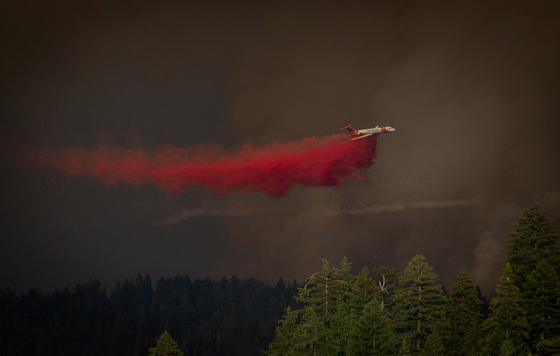 Фотохроника 7 августа