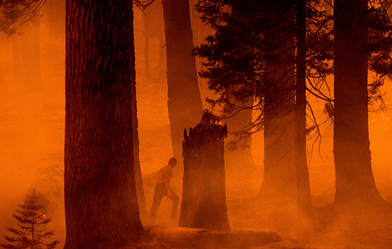 Фотохроника 8 августа