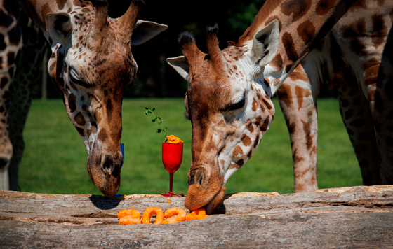 Лучшие фото недели