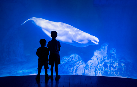 Фотохроника 14 августа