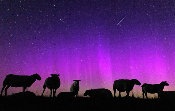 Лучшие фото недели