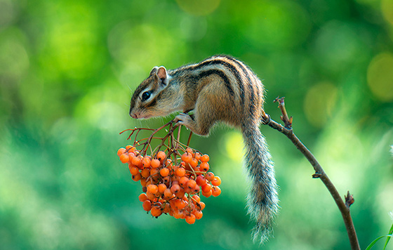 Фотохроника 16 августа