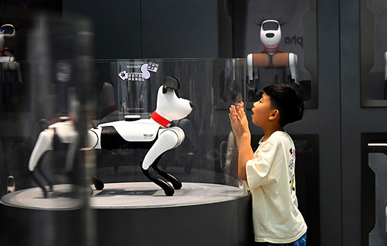 Фотохроника 20 августа