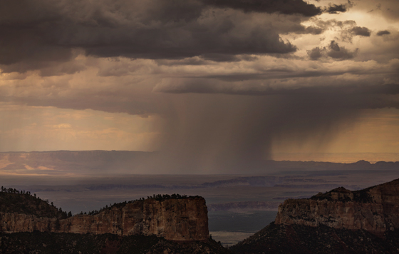 Фотохроника 22 августа