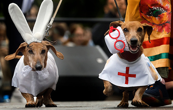 Фотохроника 2 сентября