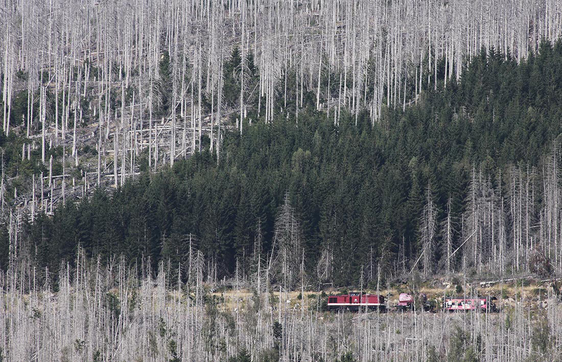 Фотохроника 6 сентября