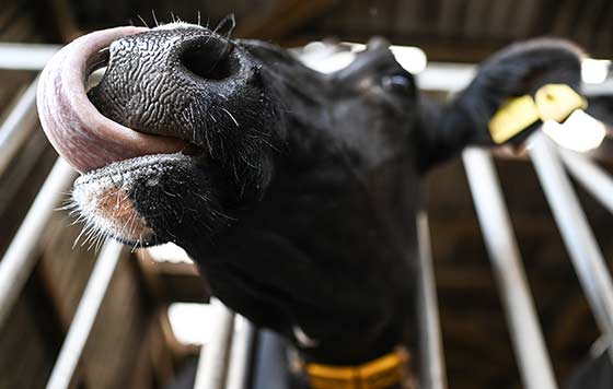 Фотохроника 11 сентября