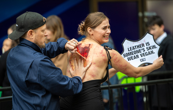 Фотохроника 13 сентября