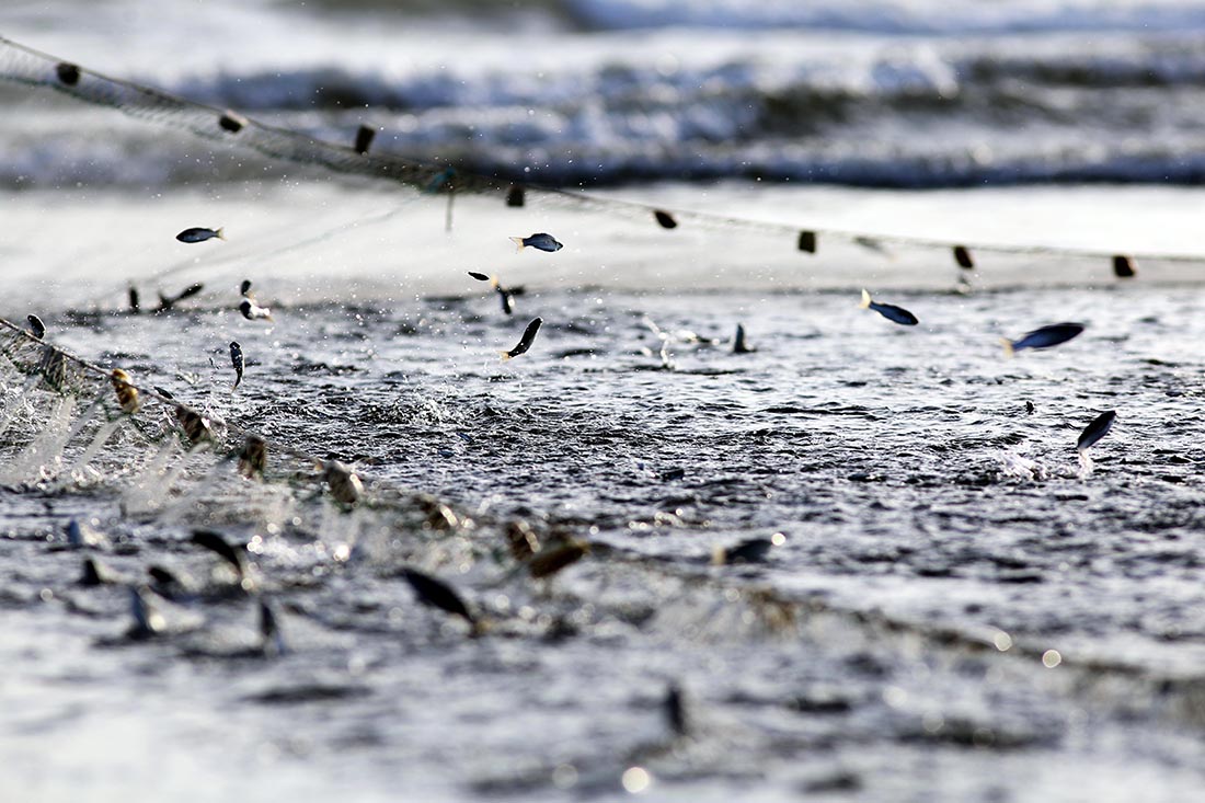 Ловля рыбы в Карачи (Пакистан)
