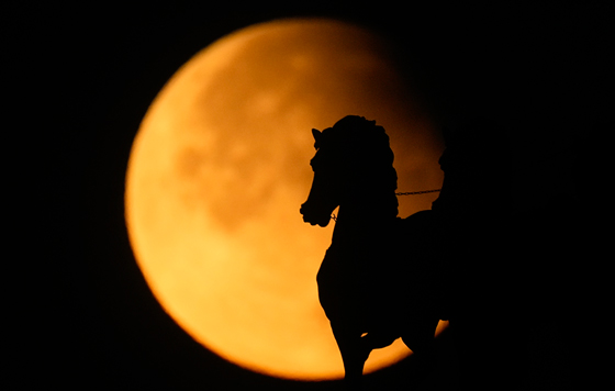 Лучшие фото недели