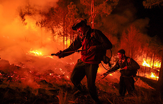 Фотохроника 24 сентября