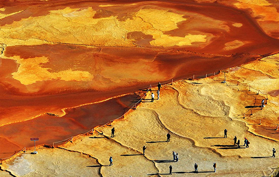 Лучшие фото недели