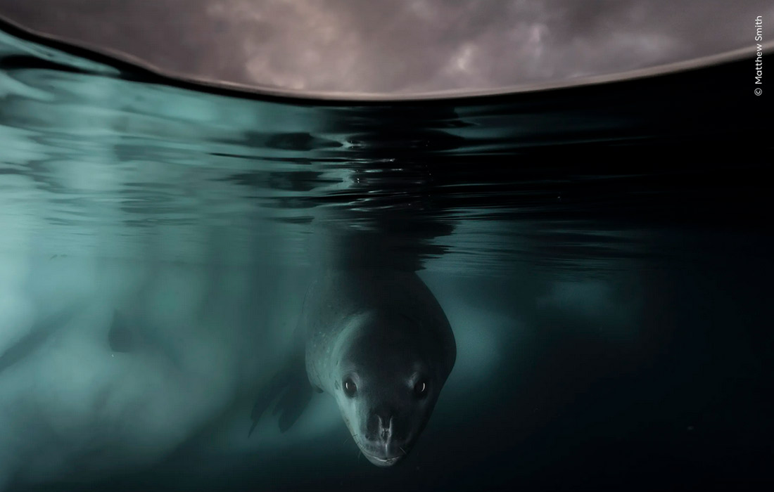 Rus yigitlari ishtirokidagi gey porno onlayn Porno Timo va ikki onlayn