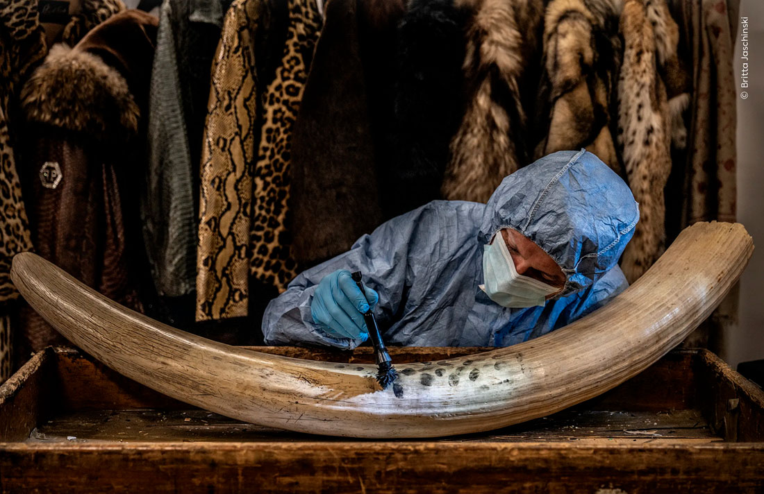 Yetuk ayollar porno rasmlar