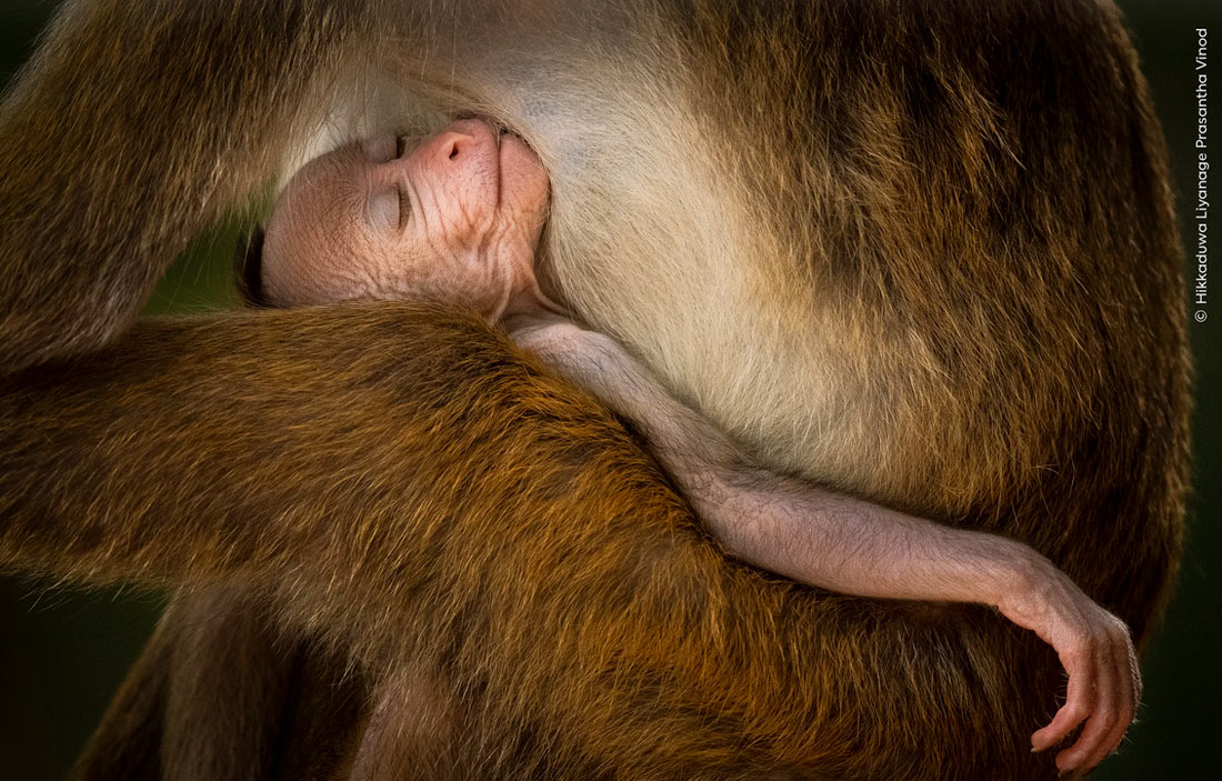 Katta tabiiy yalangoch fotosuratlar Katta tabiiy yalangoch fotosuratlar
