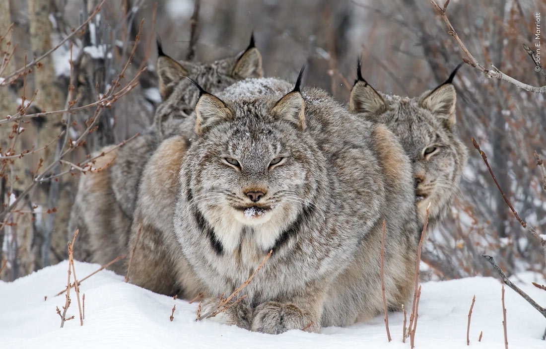 Alektra Blue bilan onlayn porno tomosha qiling: Kotiblar kuni