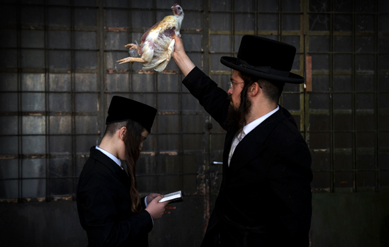 Фотохроника 11 октября