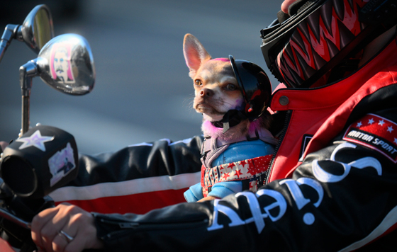 Фотохроника 14 октября