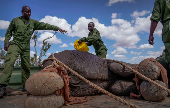 Фотохроника 15 октября