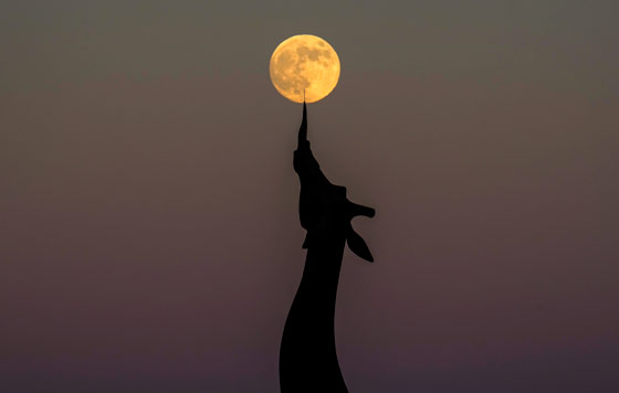 Фотохроника 17 октября