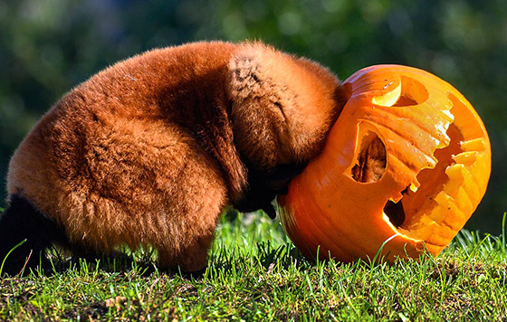 Лучшие фото недели