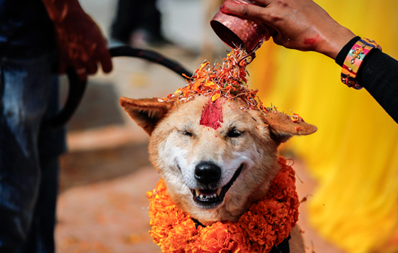 Лучшие фото недели