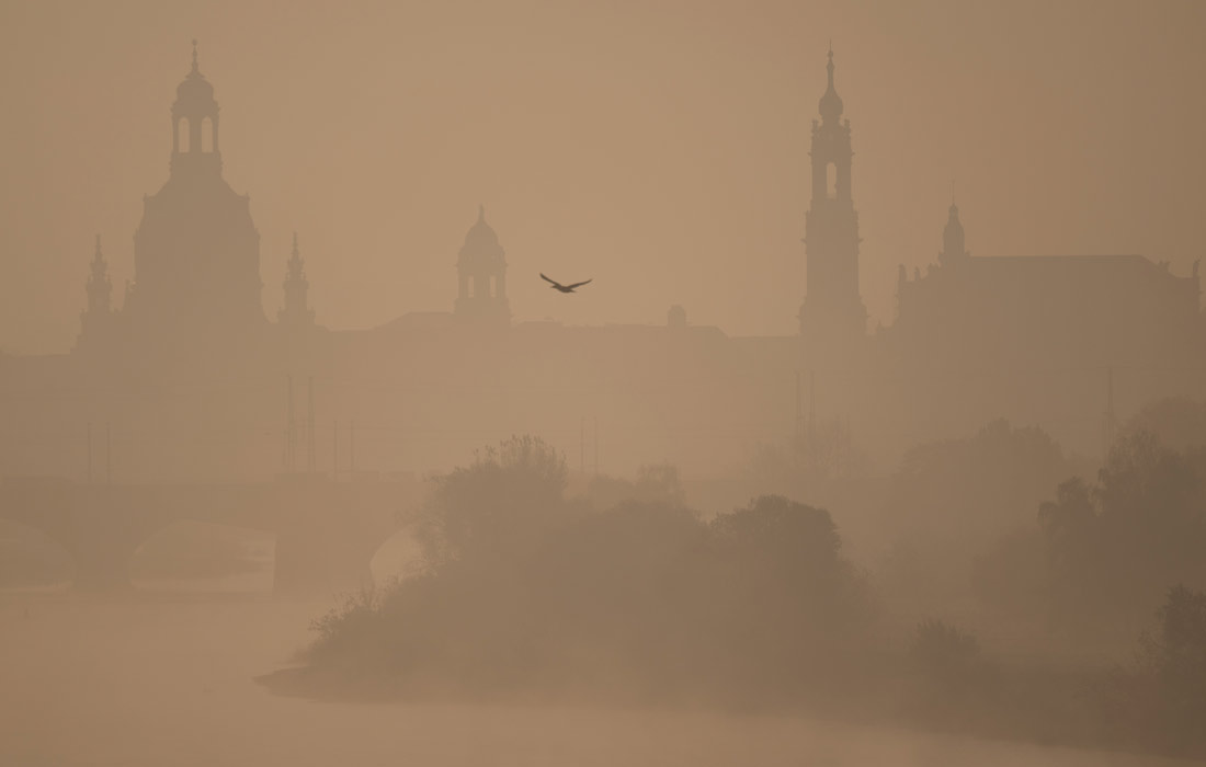 Туман в Дрездене