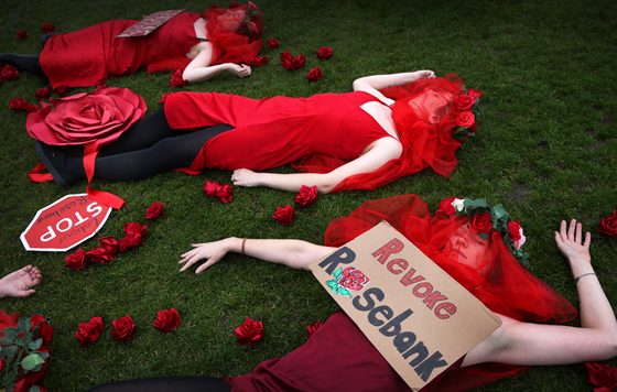 Фотохроника 8 ноября