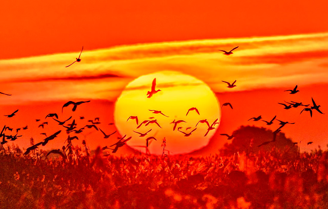 Рассвет над национальным природным заповедником в Суцяне, Китай