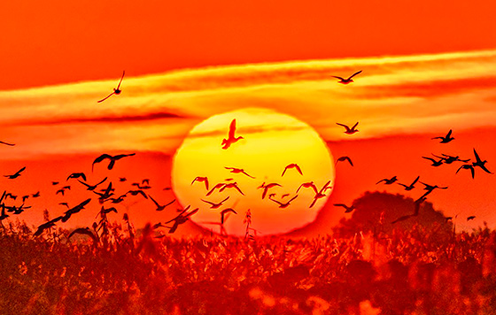 Лучшие фото недели