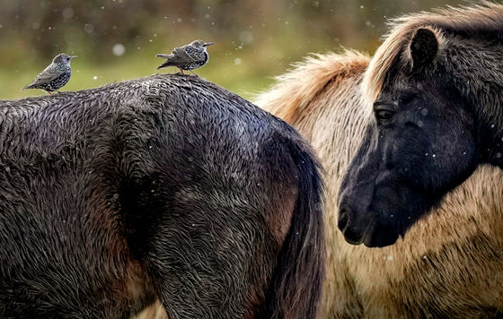 Лучшие фото недели