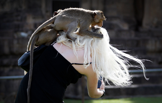 Фотохроника 25 ноября