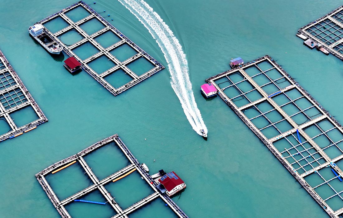 Рыбная ферма в Ниндэ, Китай