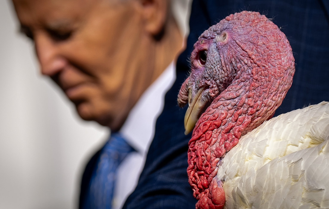 Церемония помилования индеек перед Днем благодарения в Белом доме