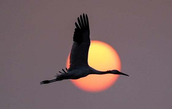 Лучшие фото недели